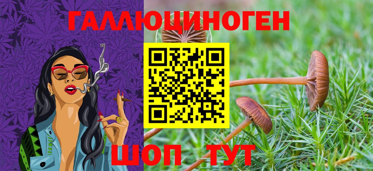 Псилоцибиновые грибы прущие грибы Майкоп